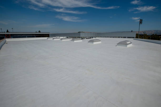 Best Roof Coating and Sealing  in Springdale, NJ